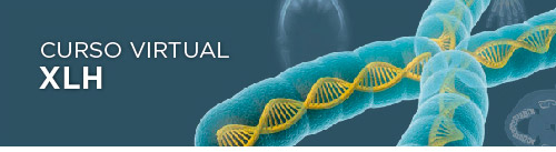 Curso virtual XLH Curso virtual XLH